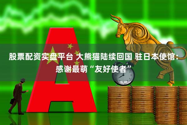 股票配资实盘平台 大熊猫陆续回国 驻日本使馆：感谢最萌“友好使者”