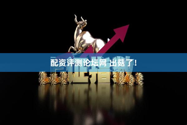 配资评测论坛网 出菇了！